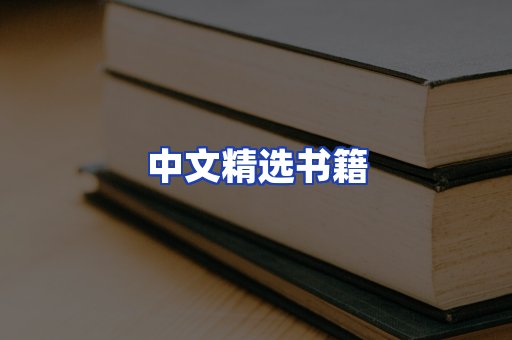 中文精选书籍